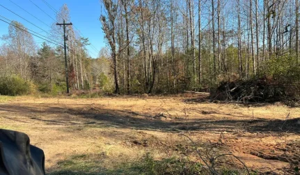 Land Clearing and Site Preparation