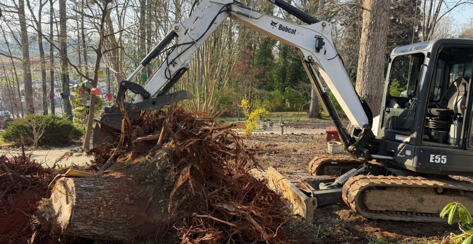 Stump and Tree Removal (1) Stump and Tree Removal (1)
