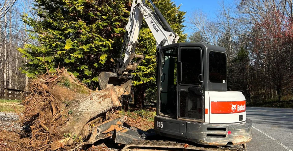 Stump and Tree Removal Stump and Tree Removal